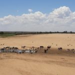 Well drilling and Groundwater abstraction – drought response in southern Madagascar